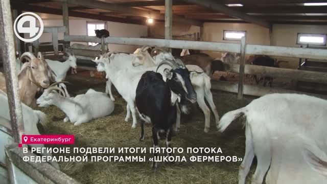 В регионе подвели итоги пятого потока федеральной программы «Школа фермеров»