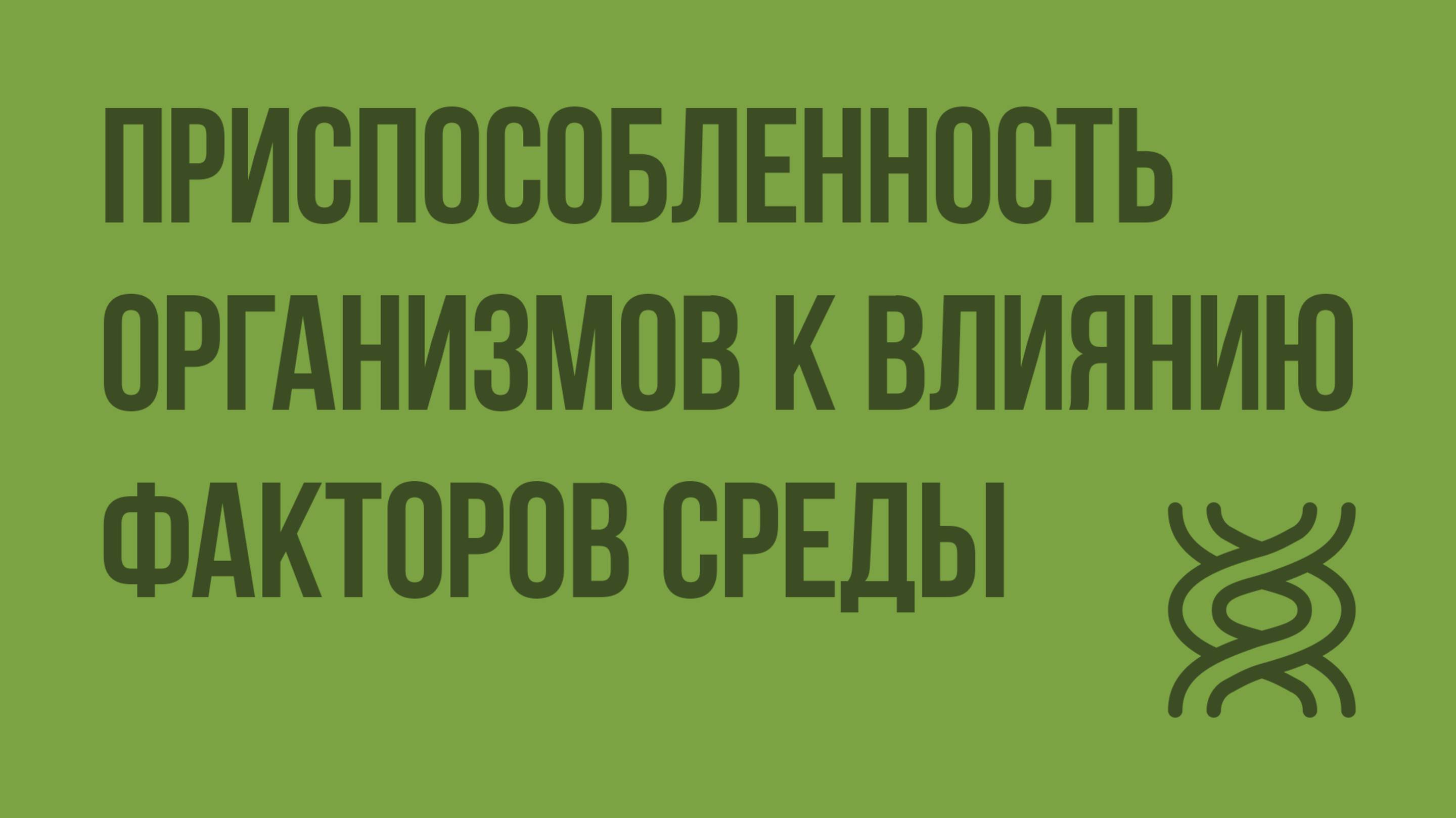 Приспособленность организмов к влиянию факторов среды. Видеоурок по биологии 9 класс