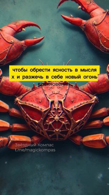 Какая руна поможет Ракам избавиться от прошлого и начать новую главу