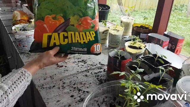 ЖИВЕМ В ДЕРЕВНЕ./ БЕЛАРУСЬ.Камни в Грунте./ Собойка для мужа.😁😁😁