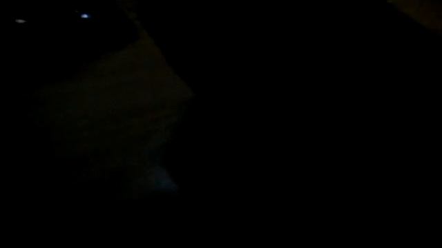 G-Shock DW-5600MS-1D