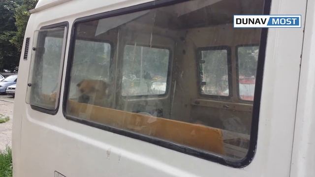 Жестокост към куче в Русе