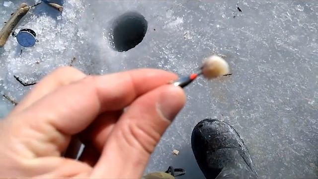 миноноска 27,01,17 НАВАГА, КОРЮШКА, МОНСТР БЫЧЕК на махалки и на мормышку