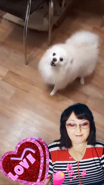 Сигма -Лорд😁