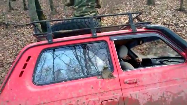 Красная нива геленджик