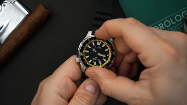 CITIZEN Promaster Dive Automatic - Textured Dial - ISO Certified 200m Dive Watch NY0130-08E