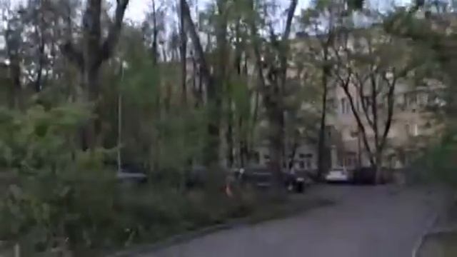 Жилищник Хамовники уничтожает деревья 2