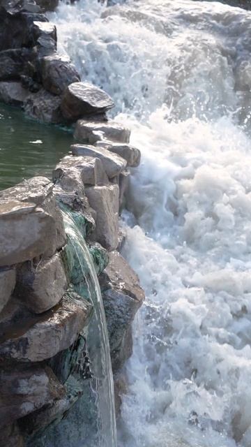 11900096_1080_1920_30fps