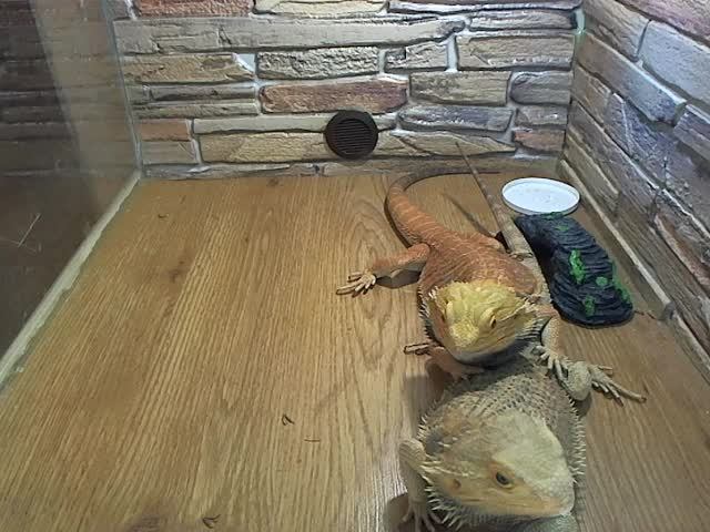 Как избавиться от пищевой зависимости навсегда