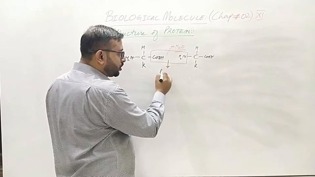 Biological Molecules (Chap 02) XI Proteins || DR M ATIF ATA