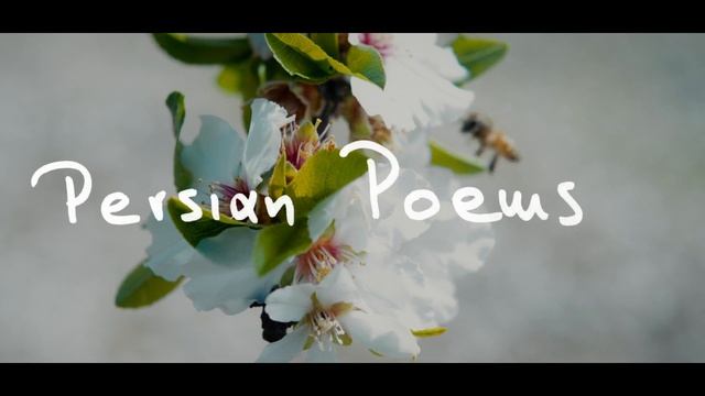 Dim Vach feat. Anduze - Neptune (Lyric Video)
