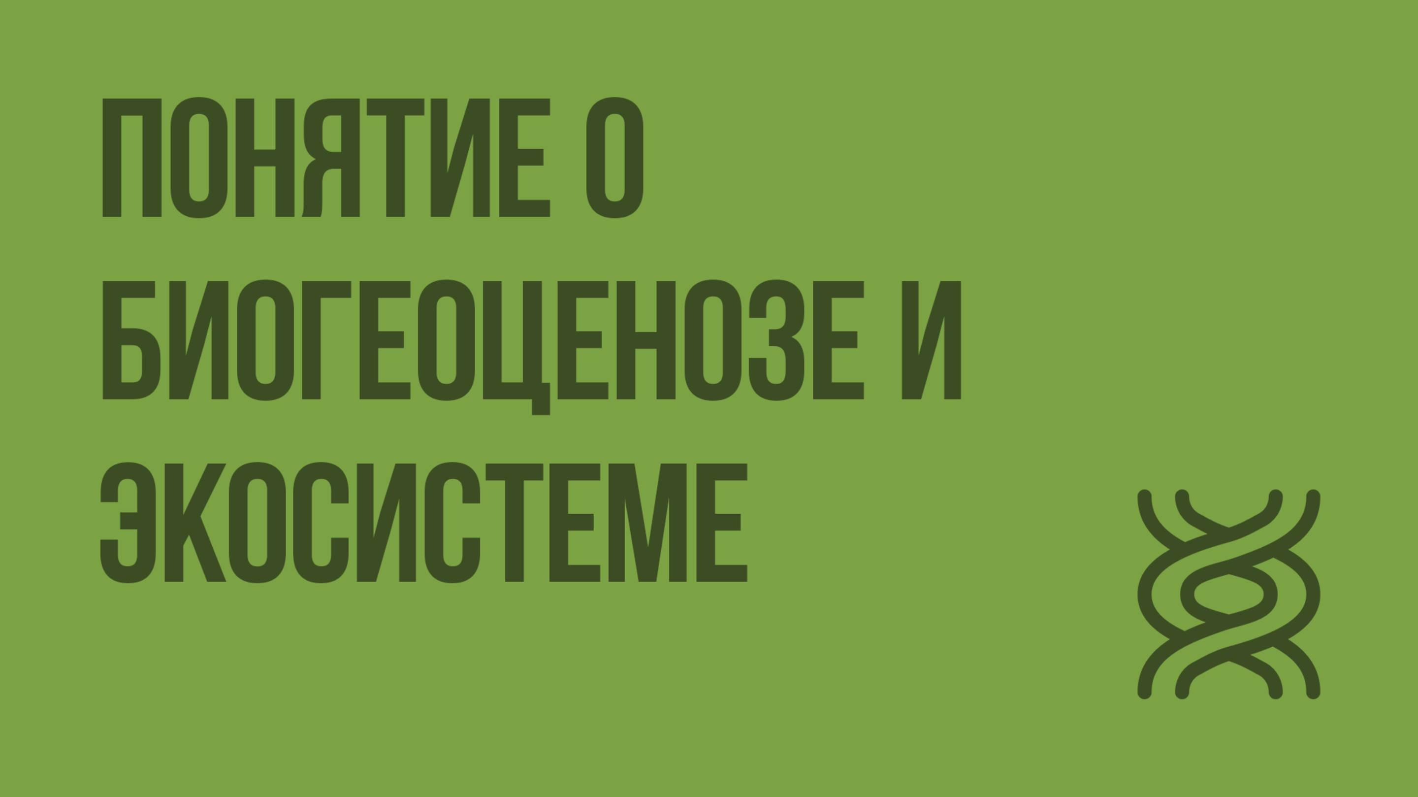 Понятие о биогеоценозе и экосистеме. Видеоурок по биологии 9 класс