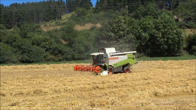 Claas Lexion 450 | Harvesting Grain | Welleringhausen | Sauerland | Germany | 2013.