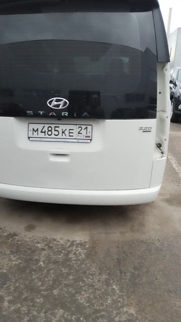 красава