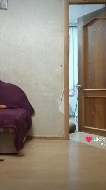 у лерки на ночёвки /гипер прыжок/Мур Амур🎧