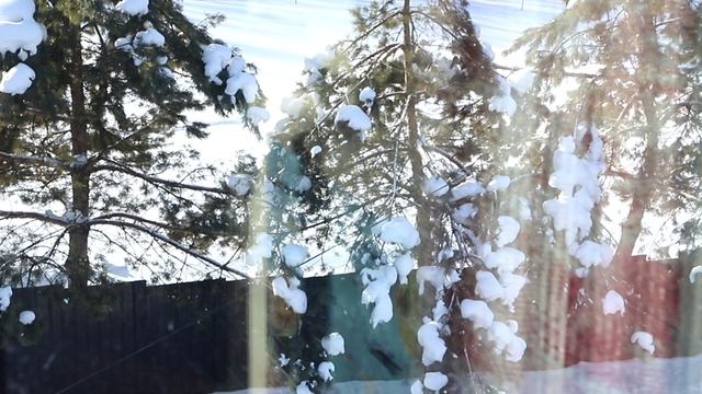 1000251897.mp4