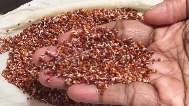 Traditional Baby Food for 6 months | Weight gain&Bone growth | SPROUTED RAGI PORRIDGE FOR BABY