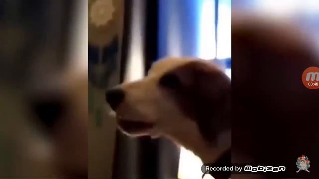Ржал целый час 😂😂😂😆😆