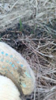 поиск монет