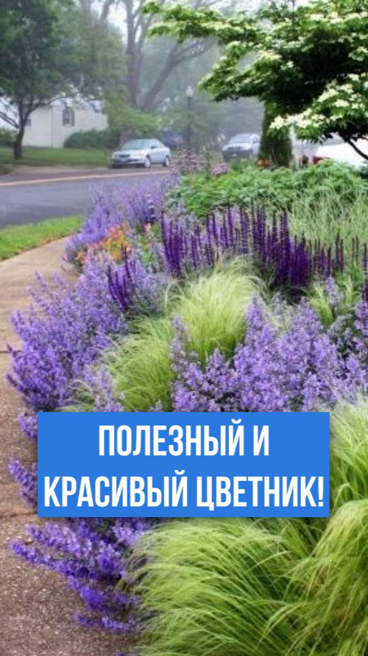 СЕКРЕТЫ создания цветника своими руками.