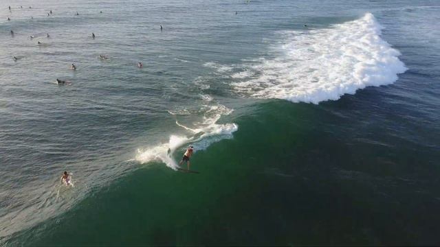 Hawaii (Oahu & Big Island) Drone / Spinner Dolphins / Sharks / Manta Rays / Sea Turtles / Volcano