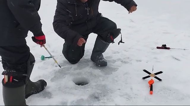 1000022834.mp4