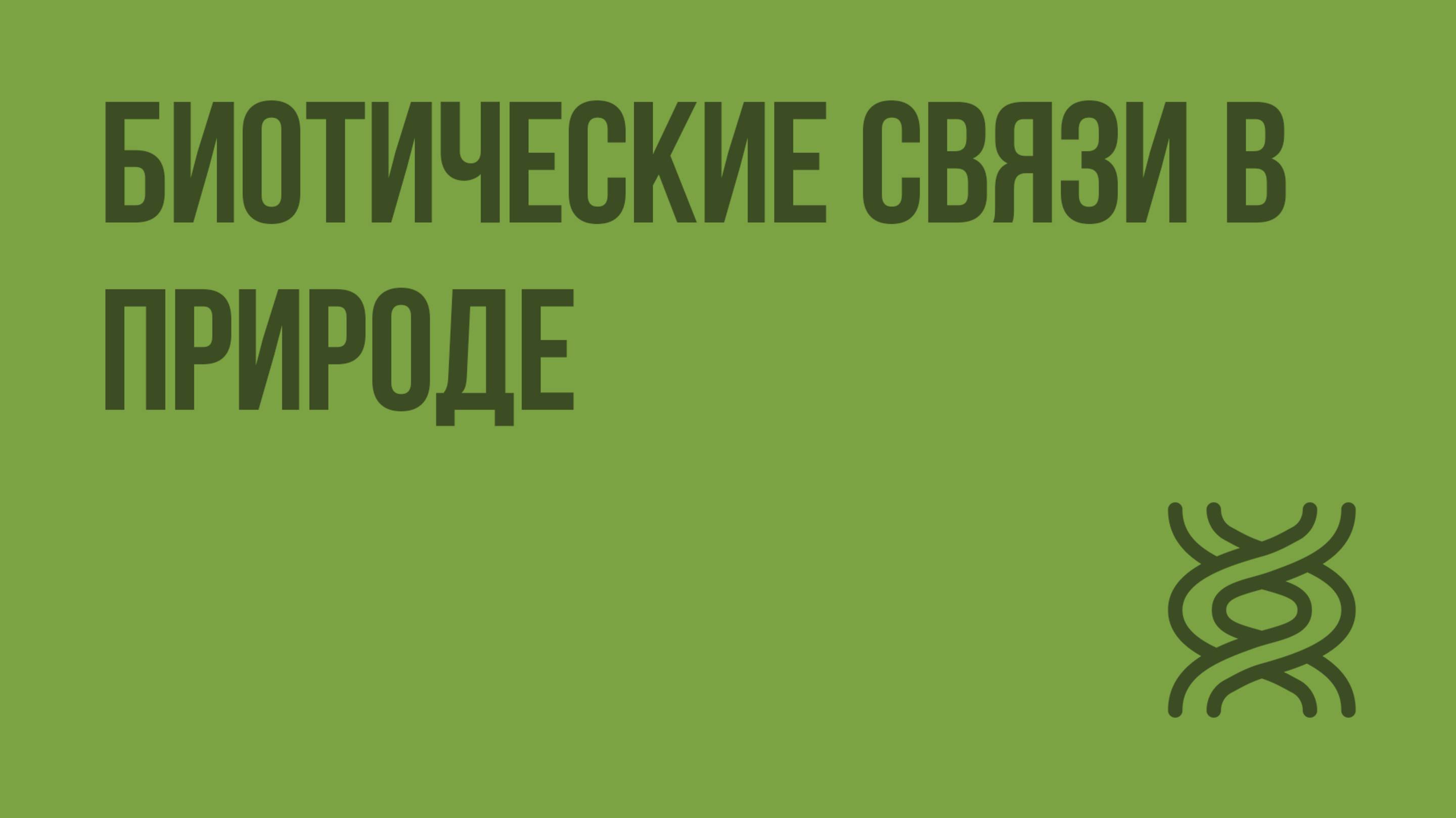 Биотические связи в природе. Видеоурок по биологии 9 класс