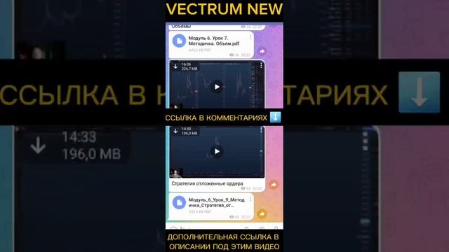 СЛИВ ОБУЧЕНИЯ ОТ VECTRUM GROUP ПО ТРЕЙДИНГУ VECTRM TRADING  VECTRM CRYPTO 2023