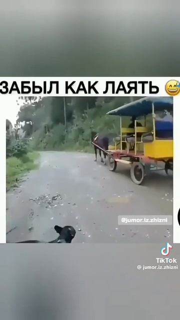 Бывает