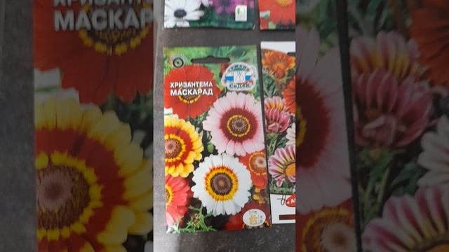 Семена цветов, похожих на ромашки.