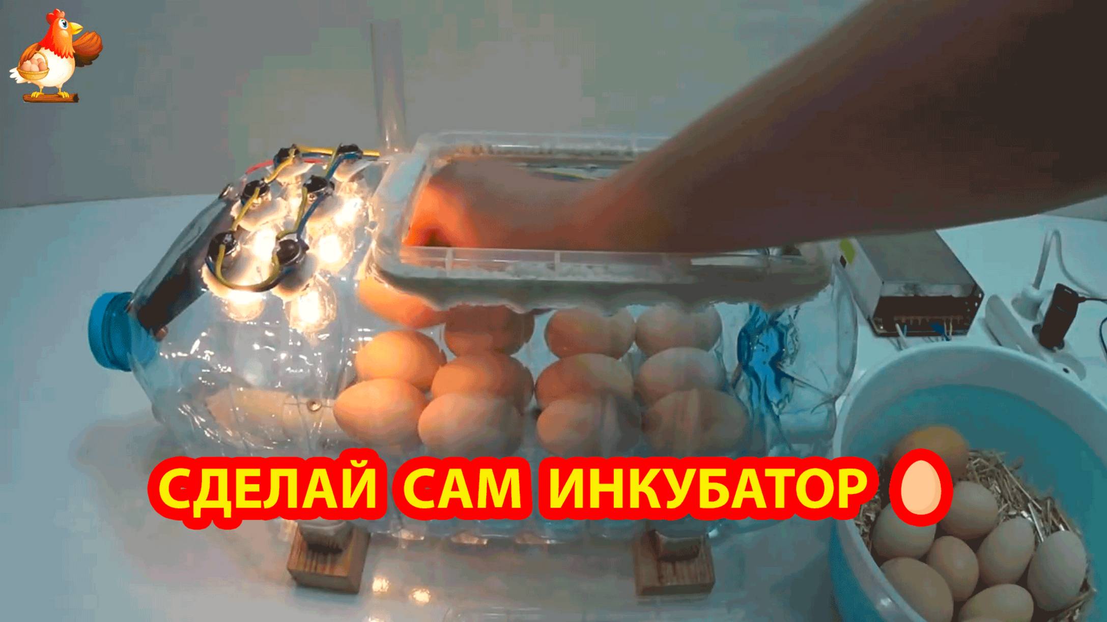 Инкубатор своими руками в бутыли вариант 1 🥚🐣🐤