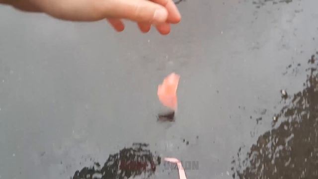 Experiment: Meat Grinder Vs Slime