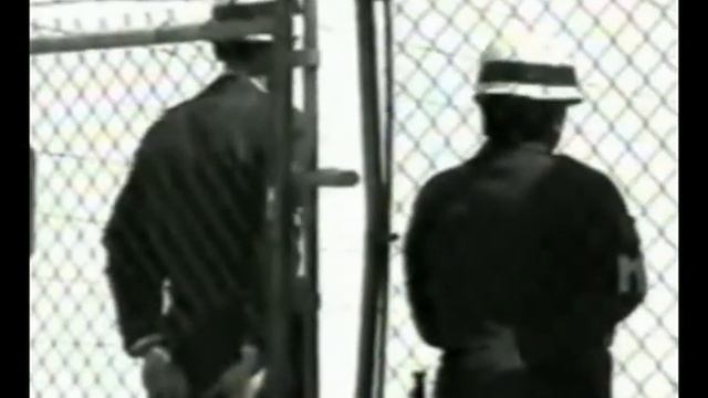 Raptor Bites - Crash and burn