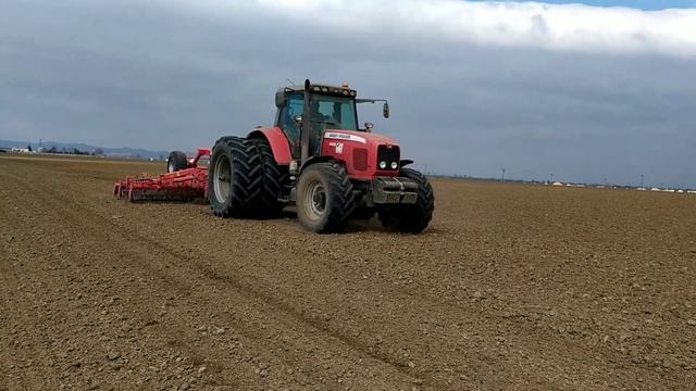 Massey Ferguson 6499 | Príprava pody 2021