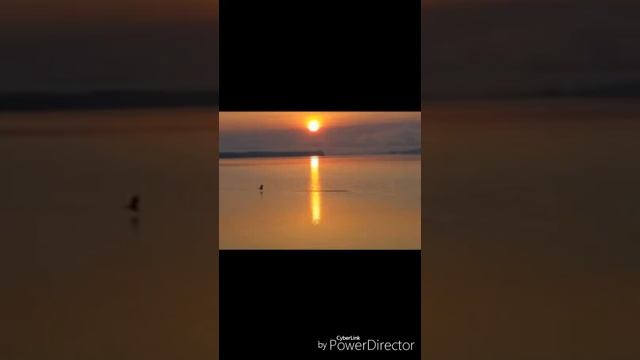 Detox-Mercury (Raw Frequencies)
