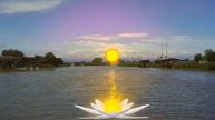 sunrice super video