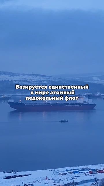 Интересные факты о Мурманске, которые вы могли не знать 🤔