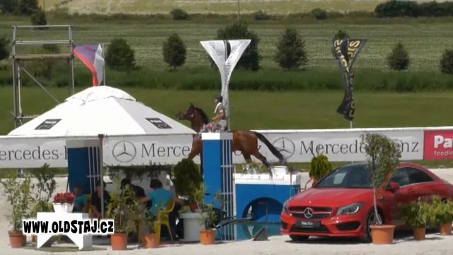 ---SOLD---Qikar, 2007, Guidam Sohn x Landos, 1 25m 07 13