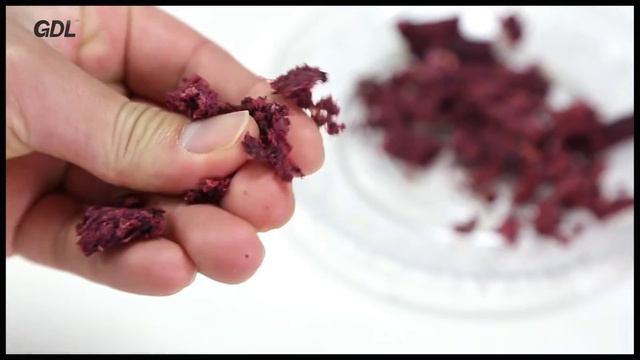 GDL  hand juicer 红黑色final version
