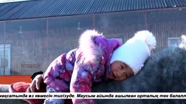 NO COMMENT! ИППОТЕРАПИЯ
