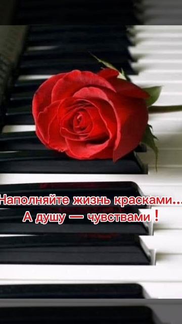 2025-02-05-150909466