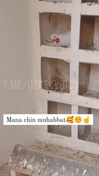 вот это забота и любовь