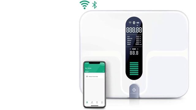 Top 5 Best Standing Scale in 2021 Reviews
