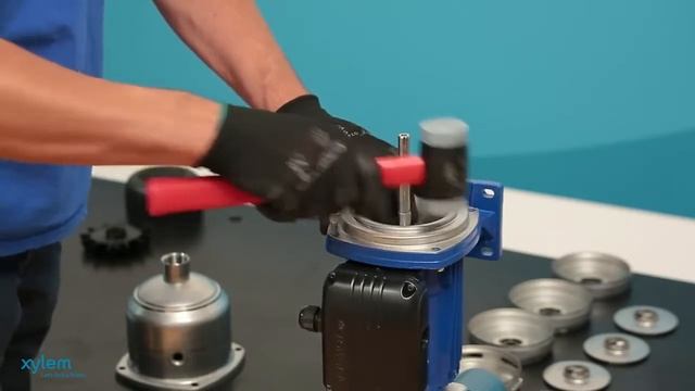 Repair Lowara e HM closed coupled stainless steel impellers