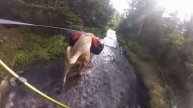 Backpacking with my dog: Mt. Marcy Adirondacks