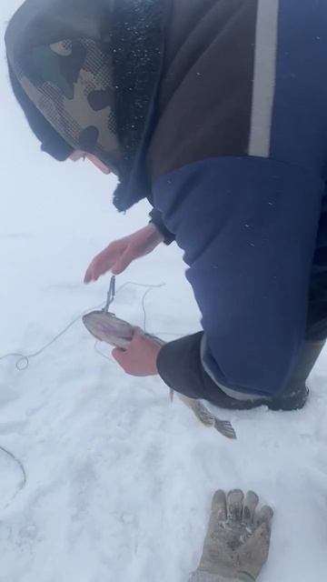 Ездили с родителями на зимнюю рыбалку) получилось! Папа словил щуку)