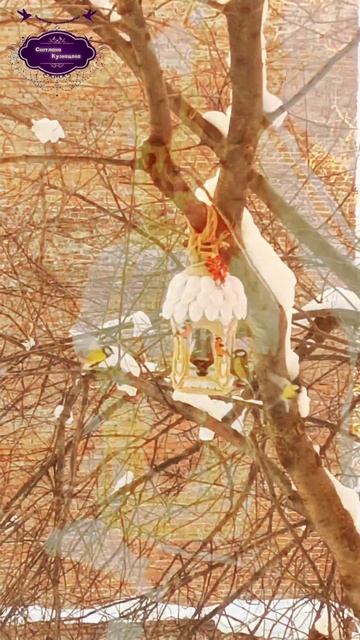 Кормушка в действии 🐦😍🤗