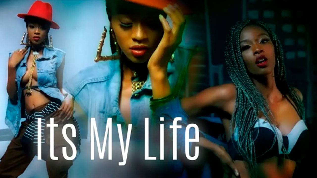 Dr  Alban - Its My Life Vs  No Coke Martik C Rmx | Музыка  | Каверы и ремиксы