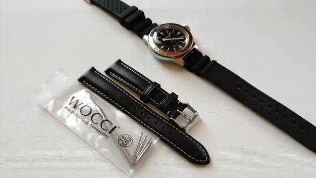 Vostok Amphibia 120512 Unboxing
