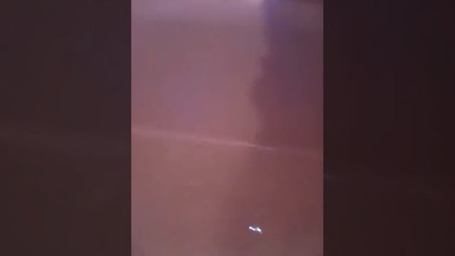 Нашь кролик первий раз пакупалса